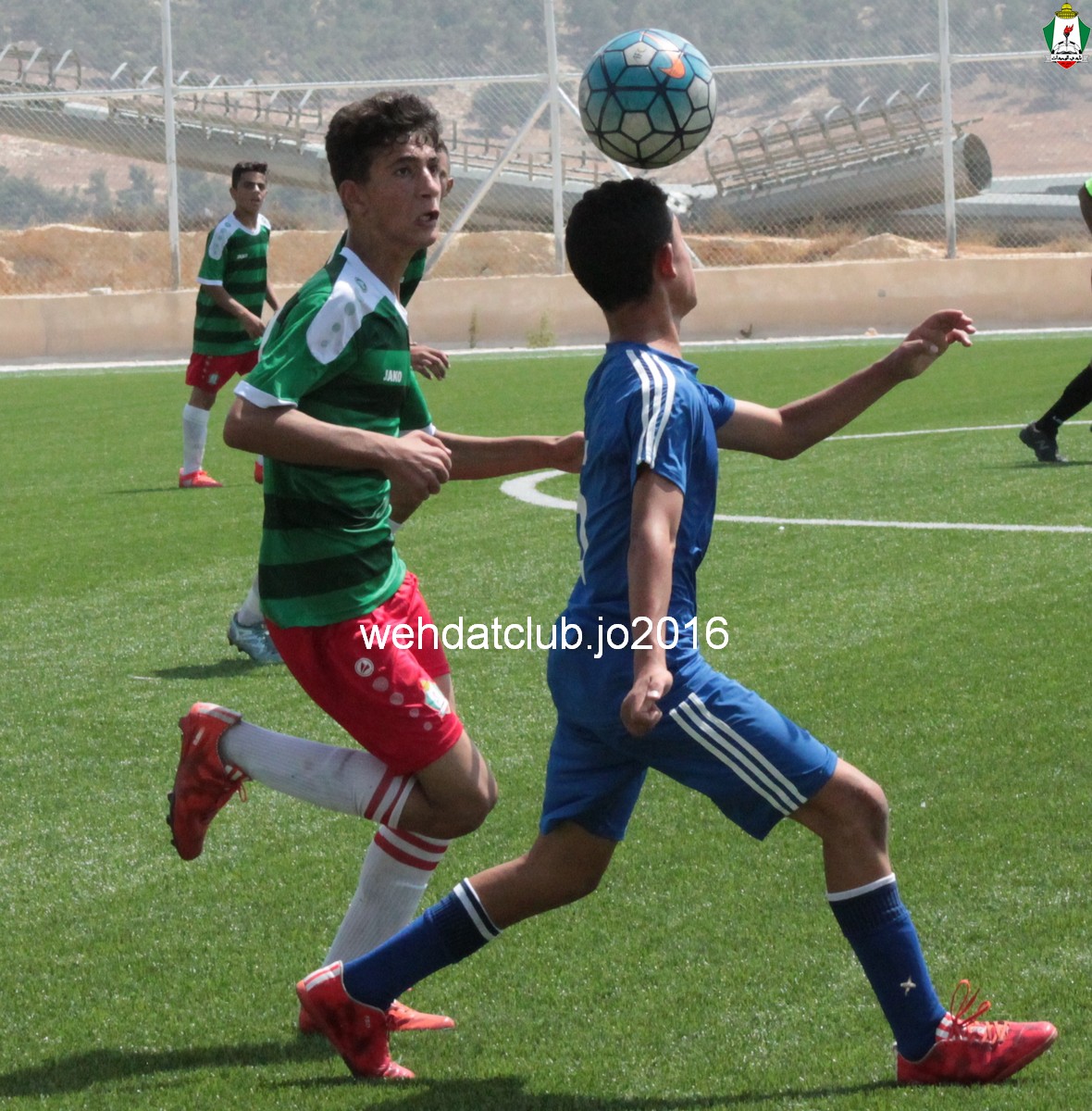 IMG_6004 - Copy