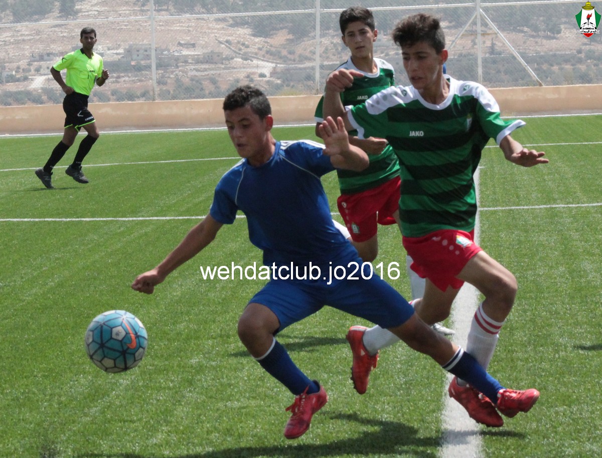 IMG_6006 - Copy