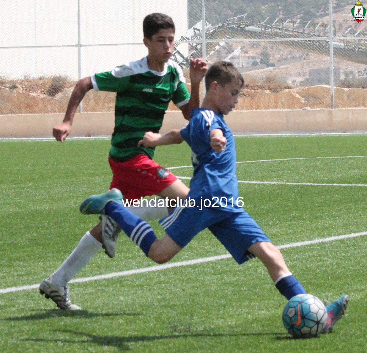 IMG_6118 - Copy