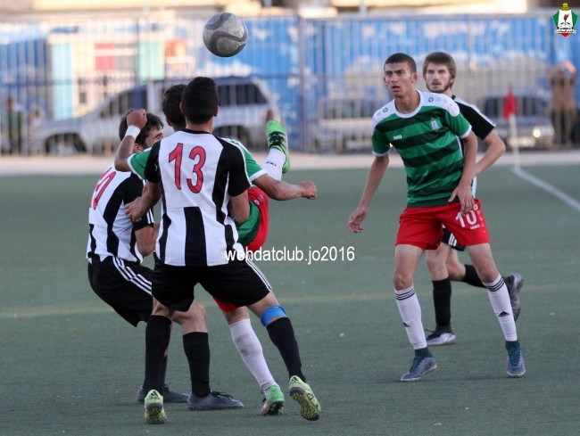 IMG_6239